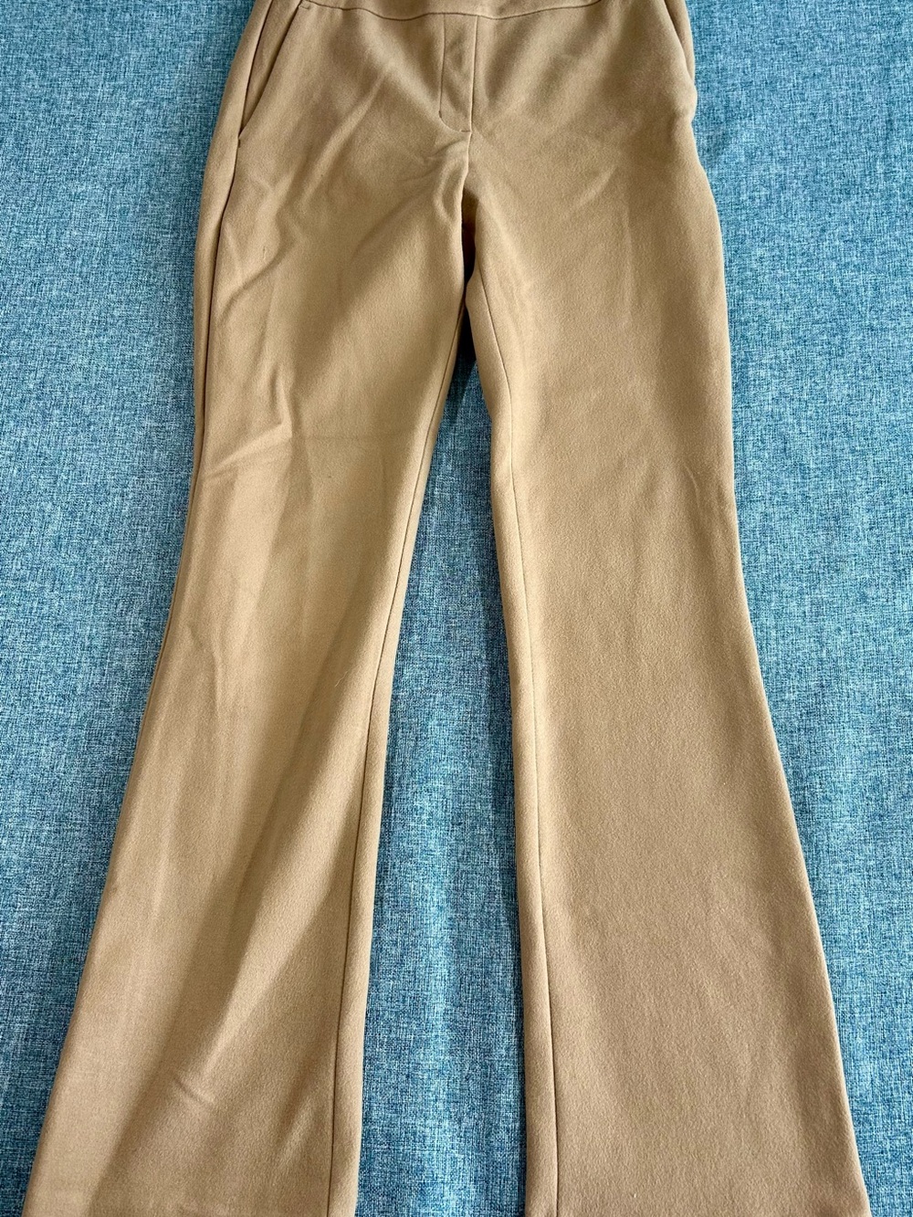 Express Women's Boot Cut Flare Pants in Camel Brown